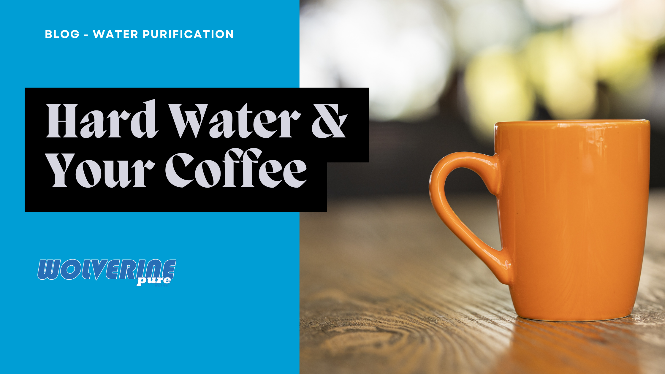 Hard Water & Your Coffee - Wolverine Water Systems