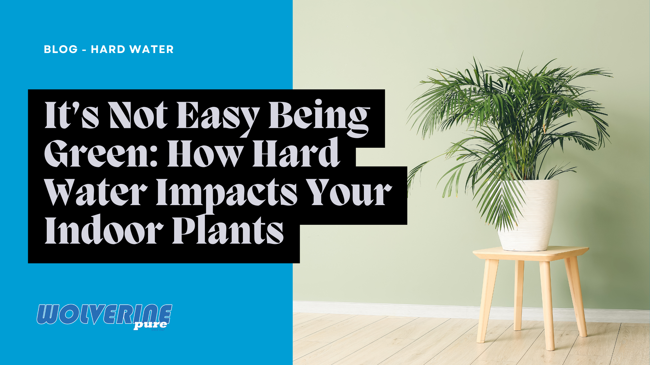 It’s Not Easy Being Green - Wolverine Water Systems