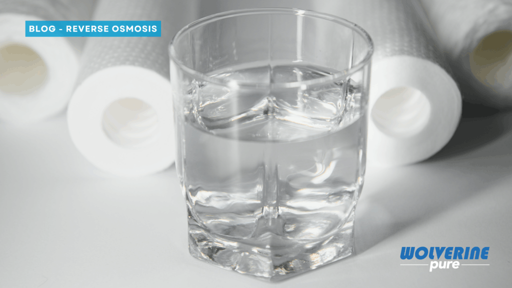 Blog - Remineralize-RO