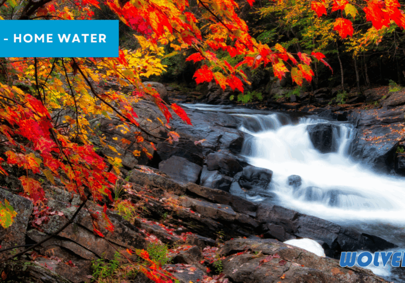 Blog Graphic - Fall Water