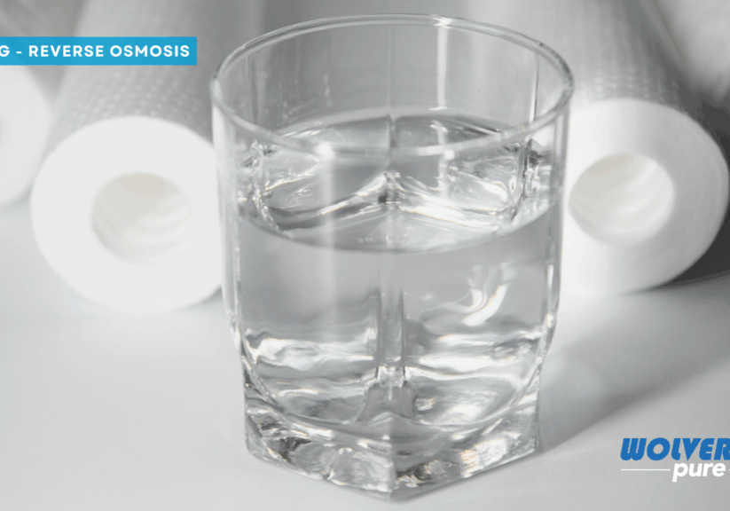 Blog - Remineralize-RO